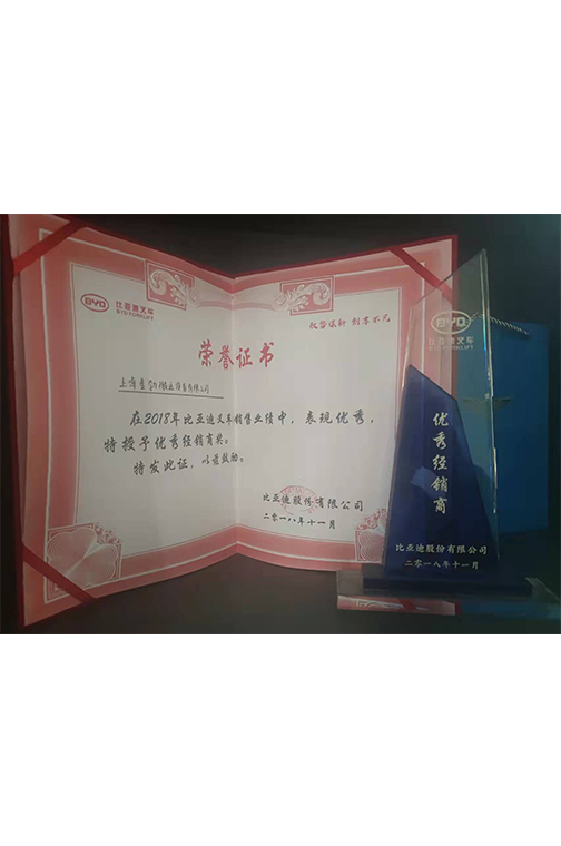 杭州市比亚迪2018优秀经销商